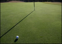 Golf - what else?